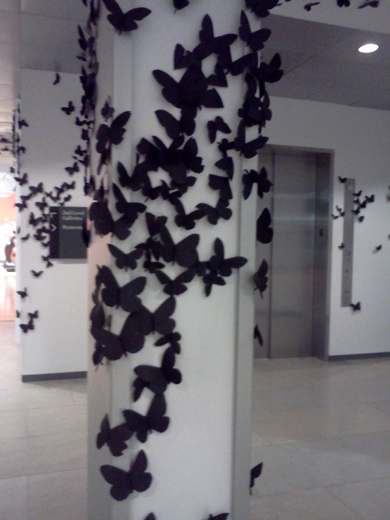 Butterflies