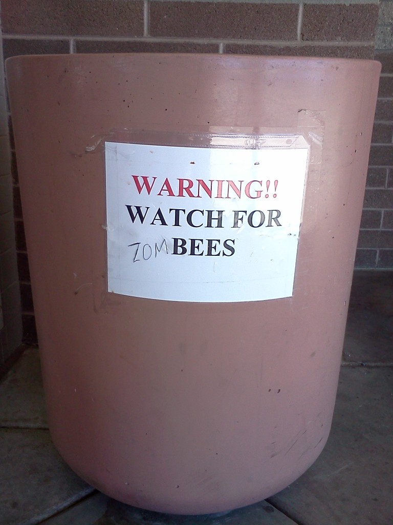 Watch for Zombees