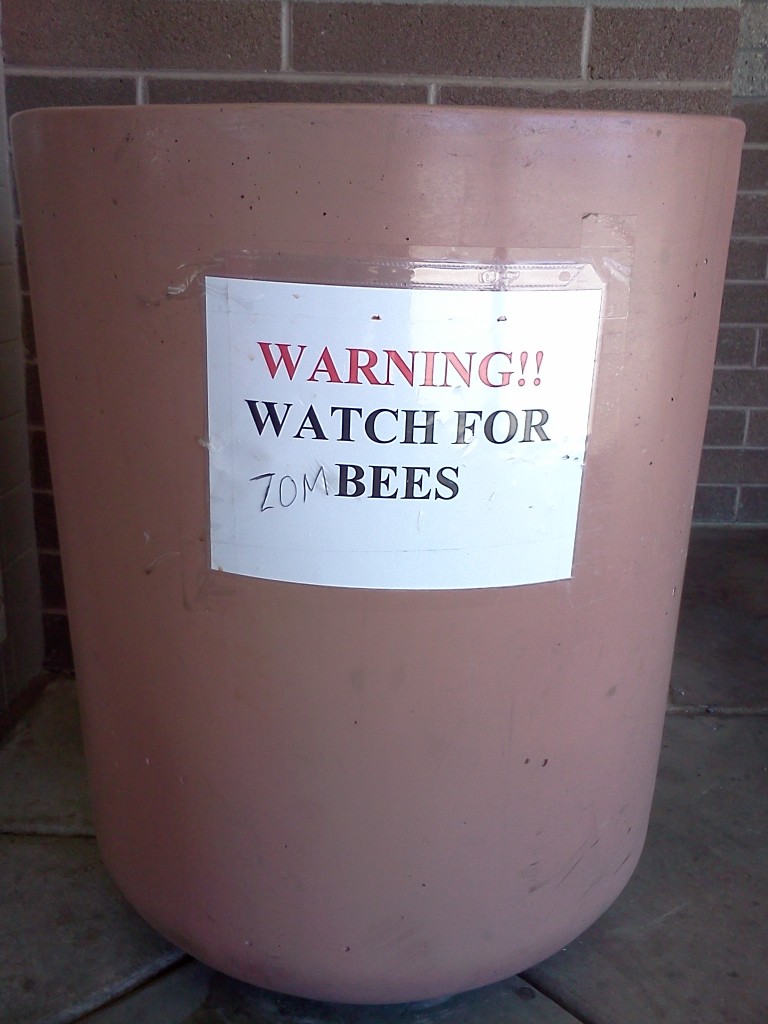 Watch for Zombees