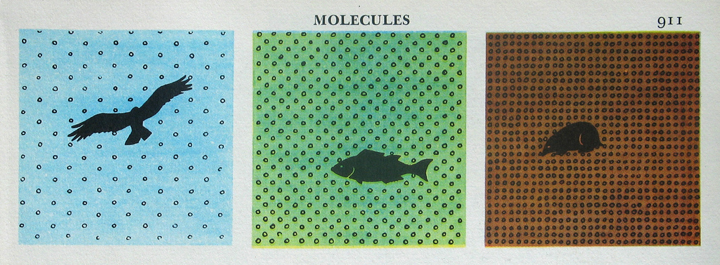 molecules