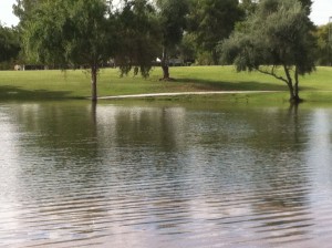Arizona Flooding 1