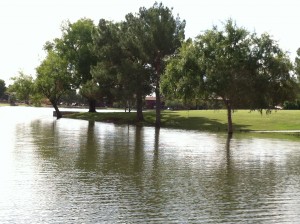 Arizona Flooding 2
