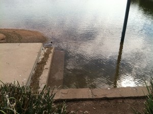 Arizona Flooding 3