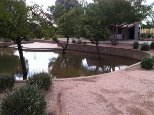 Arizona Flooding 4