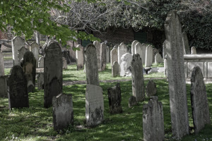 The Cemetery of Forgotten Blog Posts (from Optimizing Your Author Website)