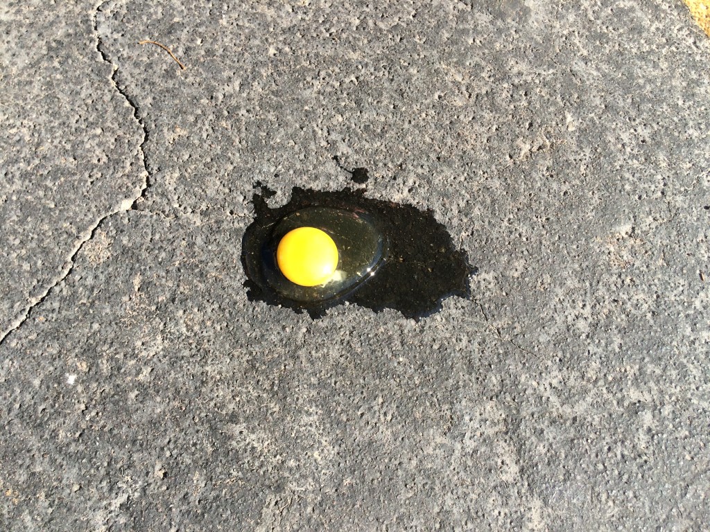 Egg Cooking on the Pavement