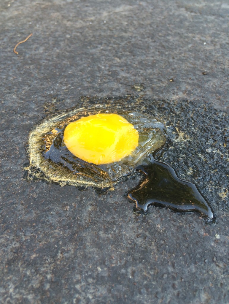 Cooked Egg on Asphalt