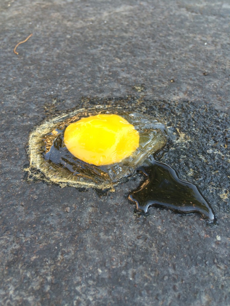 Cooked Egg on Asphalt