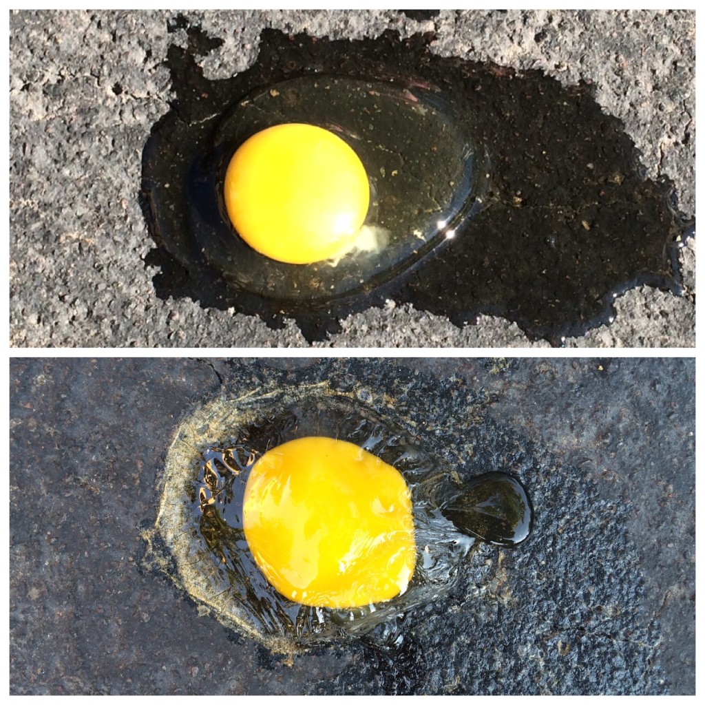 Cooking an Egg on the Pavement at 118 degrees