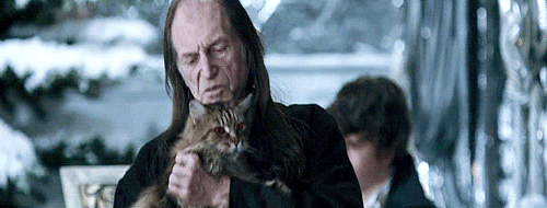 Gif of Filch rocking his cat, Mrs. Norris, from the Harry Potter films