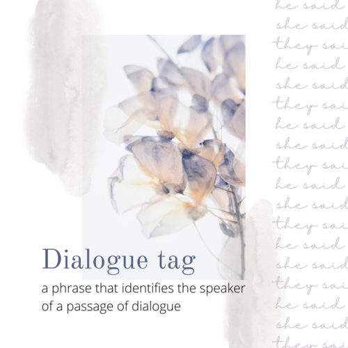 Dialogue Tag Definition. Dialogue: a phrase that identifies the speaker of a passage of dialogue